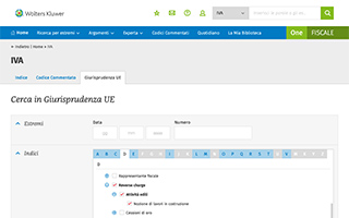 giurisprudenza ue